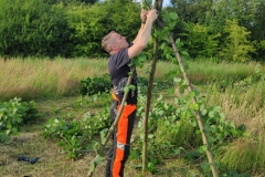 MiniIMG_20220701_194859