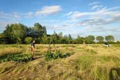 MiniIMG_20220701_200717_1