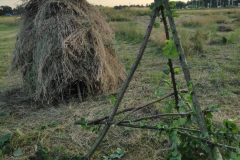 MiniIMG_20220701_204041_1