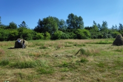MiniIMG_20220702_102440_1