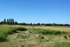 MiniIMG_20220702_102450