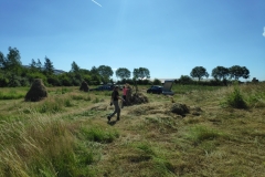 MiniIMG_20220702_102453_1
