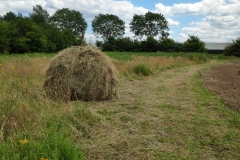 MiniIMG_20220702_132651