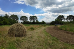 MiniIMG_20220702_132654_1