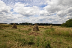 MiniIMG_20220702_132739_1