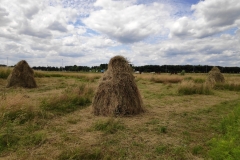 MiniIMG_20220702_132846_1