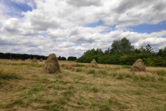 MiniIMG_20220702_132909