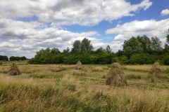 MiniIMG_20220702_132926_1