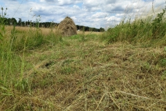 MiniIMG_20220702_132957