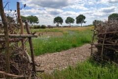 MiniIMG_20220702_133021_1