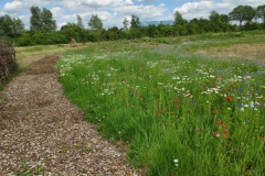 MiniIMG_20220702_133029_1