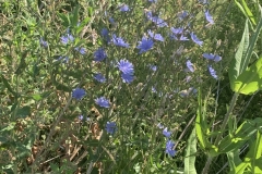 MiniIMG_9570