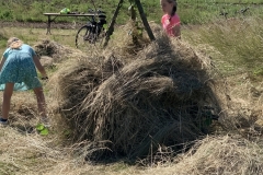 MiniIMG_9604