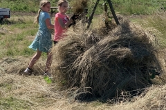 MiniIMG_9605