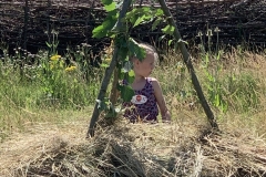 MiniIMG_9629