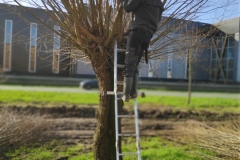 MiniIMG_20240302_112336