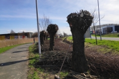 MiniIMG_20240302_113058