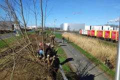 MiniIMG_20240302_114502