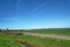 MiniIMG_20240302_120826_1