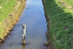 MiniIMG_5473