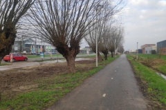 MiniIMG_20240217_091333