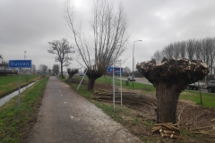 MiniIMG_20240217_102320