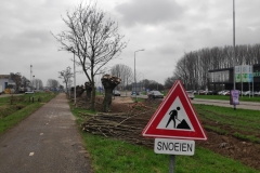 MiniIMG_20240217_130320