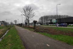MiniIMG_20240217_130327_1