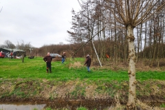 MiniIMG_20230304_093431