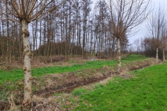 MiniIMG_20230304_093437