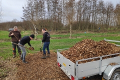 MiniIMG_20230304_095154_1