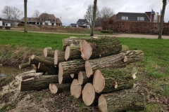 MiniIMG_20230304_110755