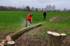 MiniIMG_20230304_113540
