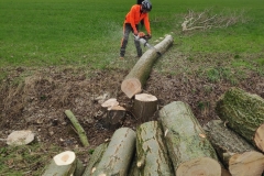 MiniIMG_20230304_113547_1