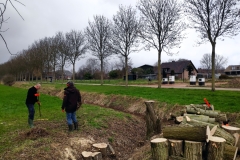 MiniIMG_20230304_115954