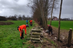 MiniIMG_20230304_115956_1