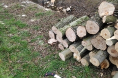 MiniIMG_20230304_120117