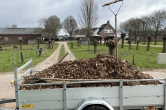 MiniIMG_2663