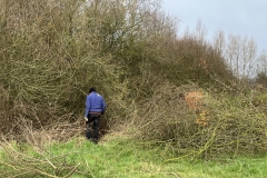 MiniIMG_2664