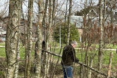MiniIMG_2666