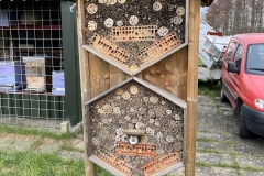 MiniIMG_2668