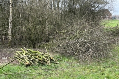MiniIMG_2672