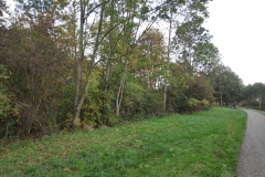 MiniIMG_20221022_090757
