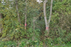 MiniIMG_20221022_090808