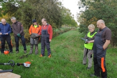 MiniIMG_20221022_090825