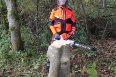 MiniIMG_20221022_095710_1