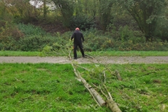 MiniIMG_20221022_095714