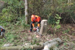 MiniIMG_20221022_095721