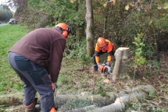 MiniIMG_20221022_095724