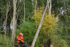 MiniIMG_20221022_105929